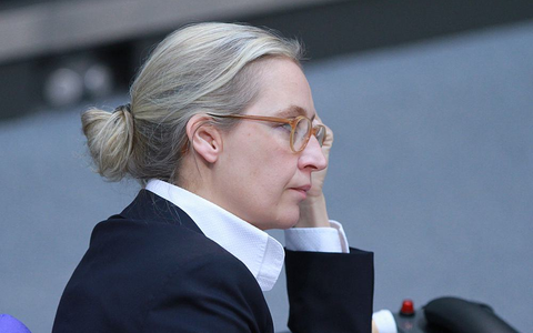 Alice Weidel (Archiv) - Foto: über dts Nachrichtenagentur
