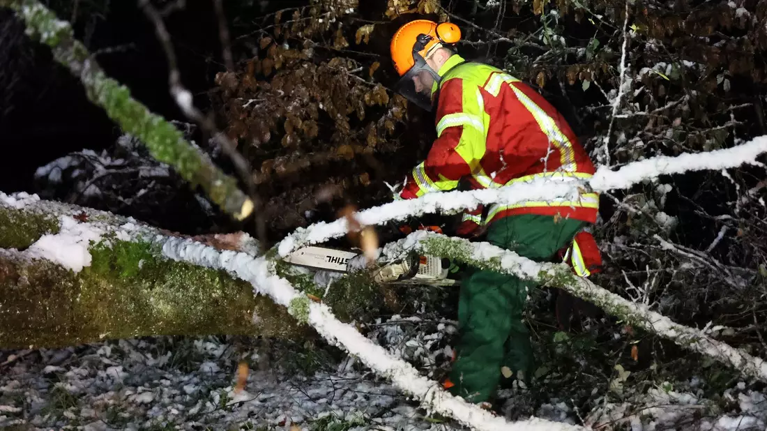 Ein Helfer zersägt in der Nähe von Bessenbach im unterfränkischen Landkreis Aschaffenburg einen Baum, der nach starkem Schneefall umgestürzt ist. - Bild: Ralf Hettler/dpa