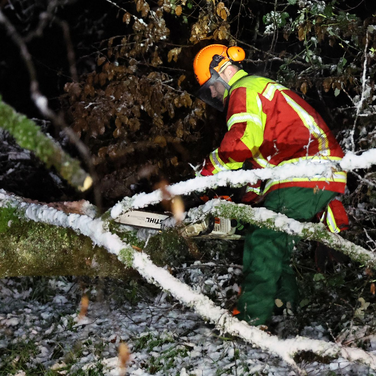 Ein Helfer zersägt in der Nähe von Bessenbach im unterfränkischen Landkreis Aschaffenburg einen Baum, der nach starkem Schneefall umgestürzt war. - Foto: Ralf Hettler/dpa
