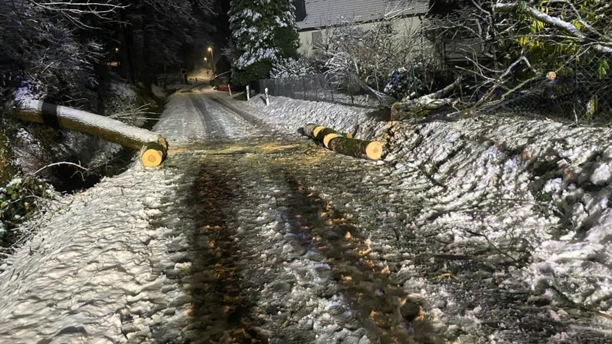 FW-PL: Einsatzreicher Montag für die Feuerwehr - Foto: presseportal.de