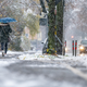 Schneefall in Niederbayern. Der Deutsche Wetterdienst erwartet weiter Neuschnee. - Foto: Armin Weigel/dpa