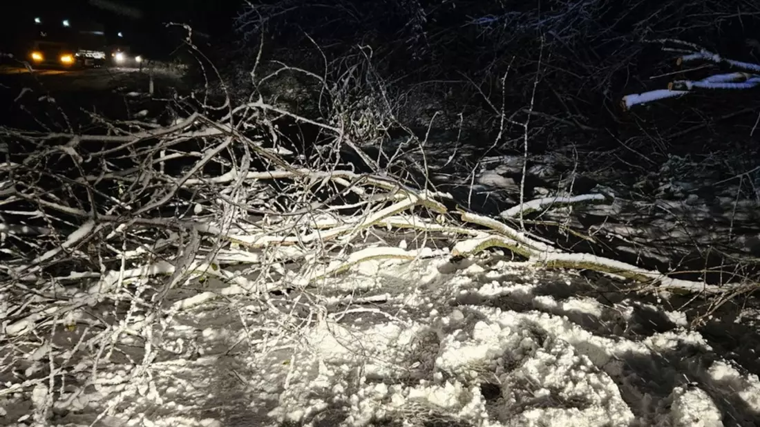 FW-EN: Baum auf Fahrbahn - Bild: presseportal.de