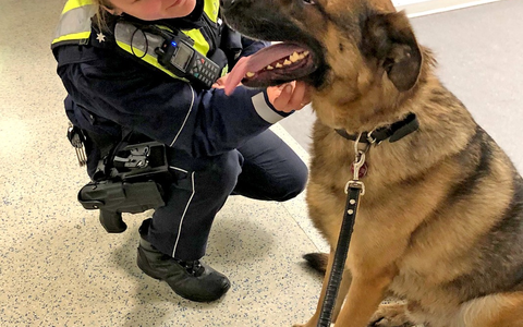 POL-MK: Kommissar Dex auf Abwegen - Foto: presseportal.de