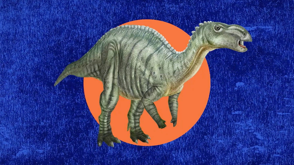 Eine Illustration des Dinosauriers Muttaburrasaurus langdoni, der zum fossilen Wahrzeichen des australischen Bundesstaates Queensland gewählt wurde. - Foto: -/Queensland Tourism Development/dpa