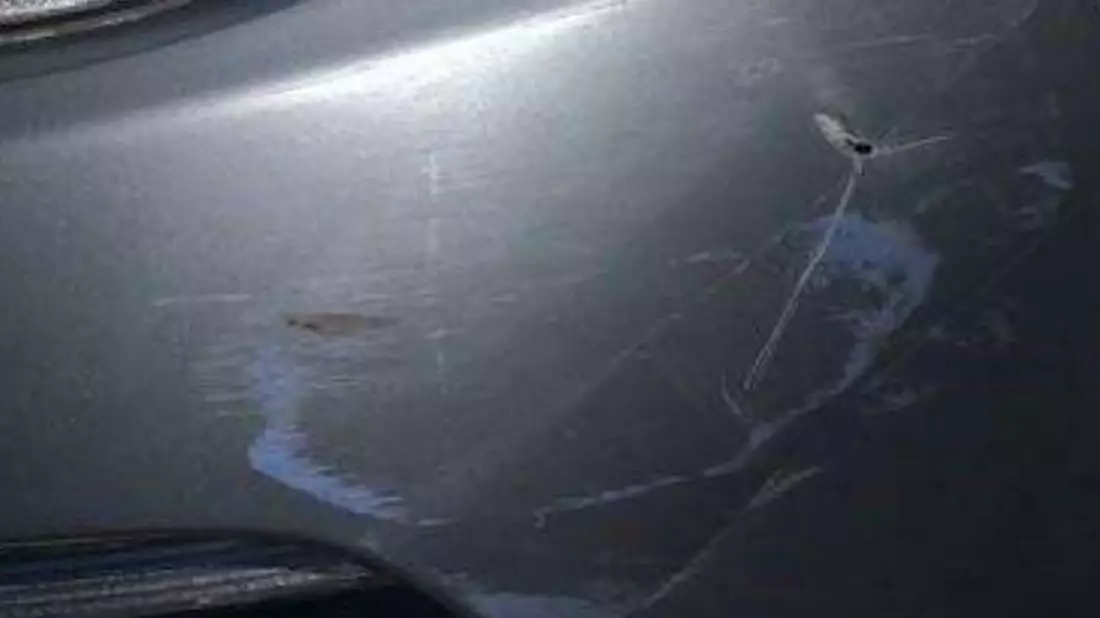 POL-SE: Halstenbek - Verkehrsunfallflucht nach Parkrempler - Polizei sucht Zeugen - Bild: presseportal.de