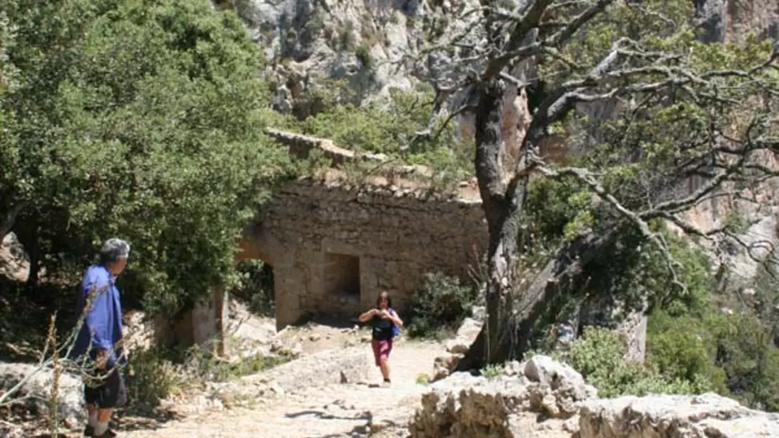  - Bild: 