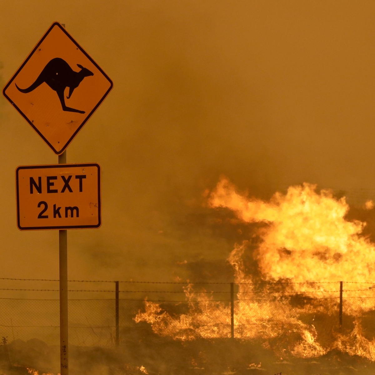 Feuer brennt im Gras in der Nähe von Bumbalong, südlich der australischen Hauptstadt Canberra. - Foto: Rick Rycroft/AP/dpa