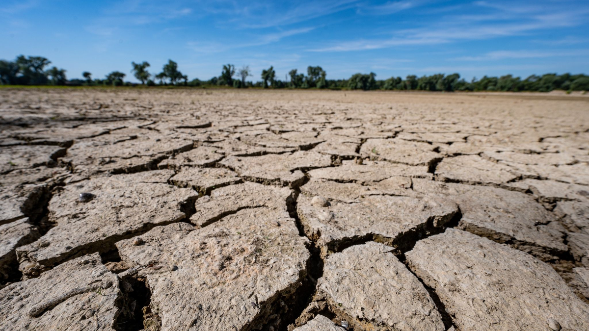 Eine ausgetrocknete Sandbank an der Niedrigwasser führenden Donau. - Foto: Armin Weigel/dpa