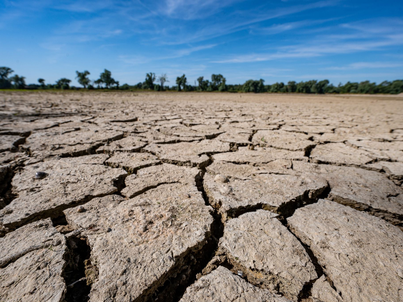 Eine ausgetrocknete Sandbank an der Niedrigwasser führenden Donau. - Foto: Armin Weigel/dpa