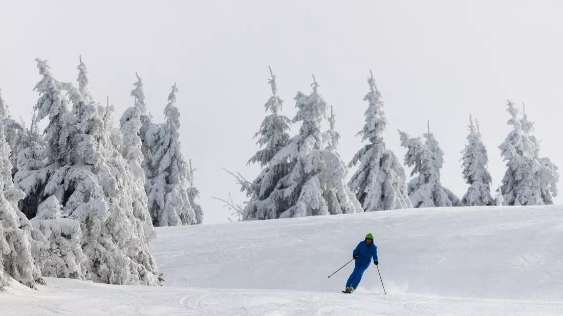Ein Wintersportler fährt auf Skiern eine Piste hinunter. - Bild: Philipp von Ditfurth/dpa