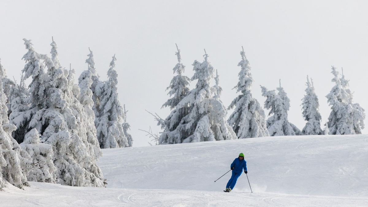 Ein Wintersportler fährt auf Skiern eine Piste hinunter. - Foto: Philipp von Ditfurth/dpa