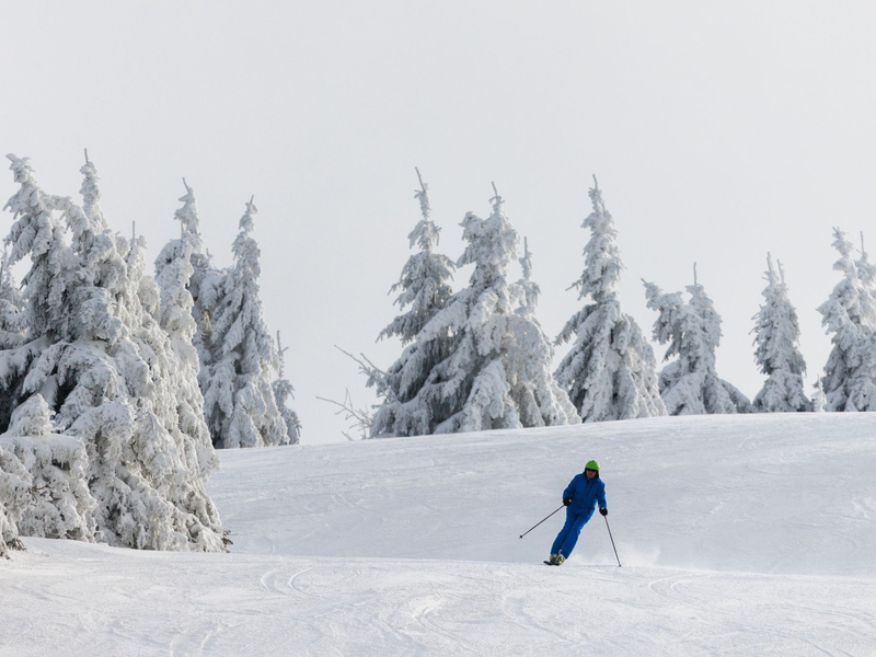 Ein Wintersportler fährt auf Skiern eine Piste hinunter. - Foto: Philipp von Ditfurth/dpa