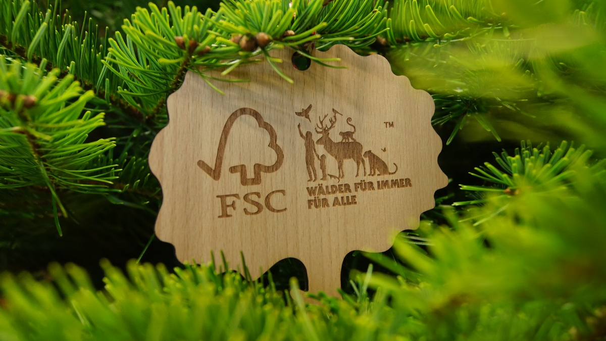 Grüne Weihnachten - Pestizidfrei unterm Weihnachtsbaum - Foto: presseportal.de