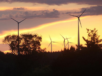 Windräder (Archiv) - Foto: über dts Nachrichtenagentur