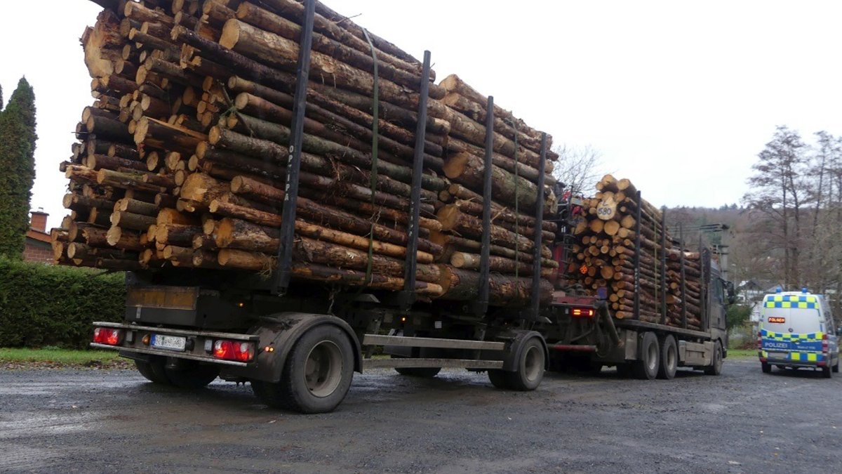 POL-OH: Viel zu schwer, deutlich zu hoch, Ladung zum Teil völlig ungesichert - Polizei stoppt Stammholztransport in Alsfeld-Eifa - Foto: presseportal.de
