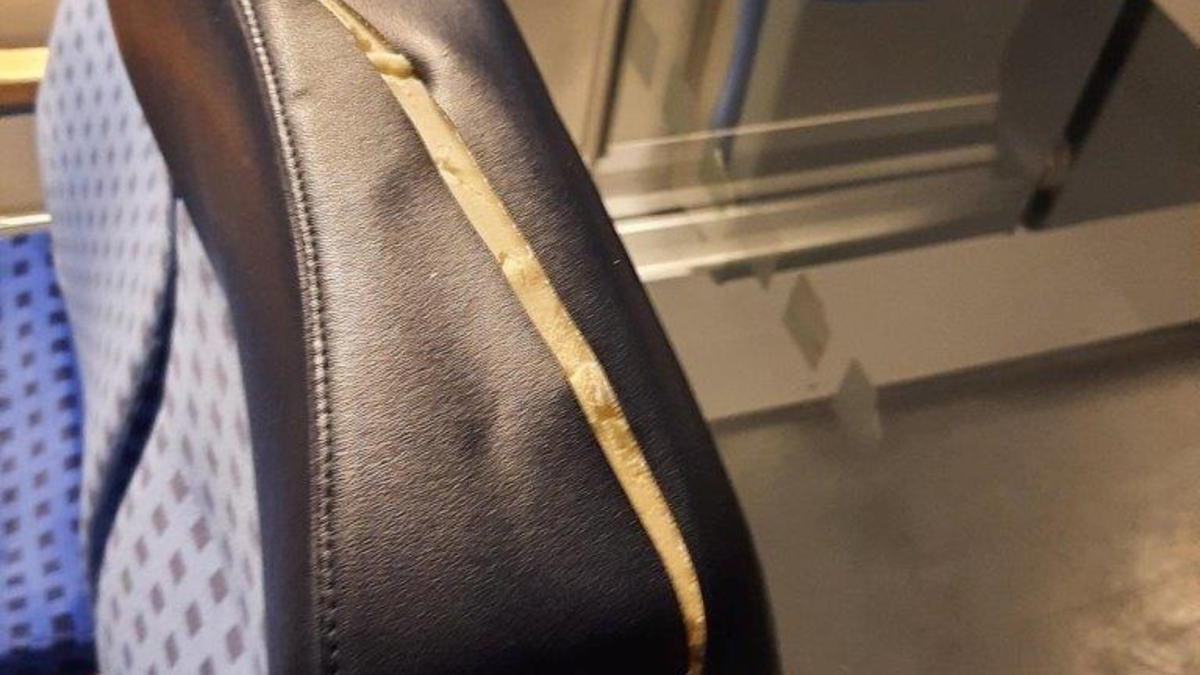 BPOLI DD: 47-Jähriger bedroht Einsatzkräfte der Bundespolizei in S-Bahn - Foto: presseportal.de