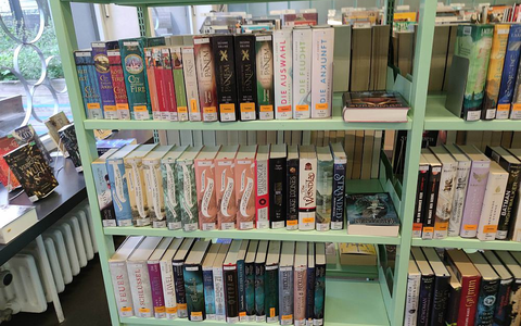 Fantasy-Literatur in einer Bibliothek (Archiv) - Foto: über dts Nachrichtenagentur
