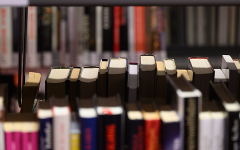 Sonntags ein Buch ausleihen oder in der Bibliothek stöbern? Bislang ist das nicht möglich. - Foto: Robert Michael/dpa