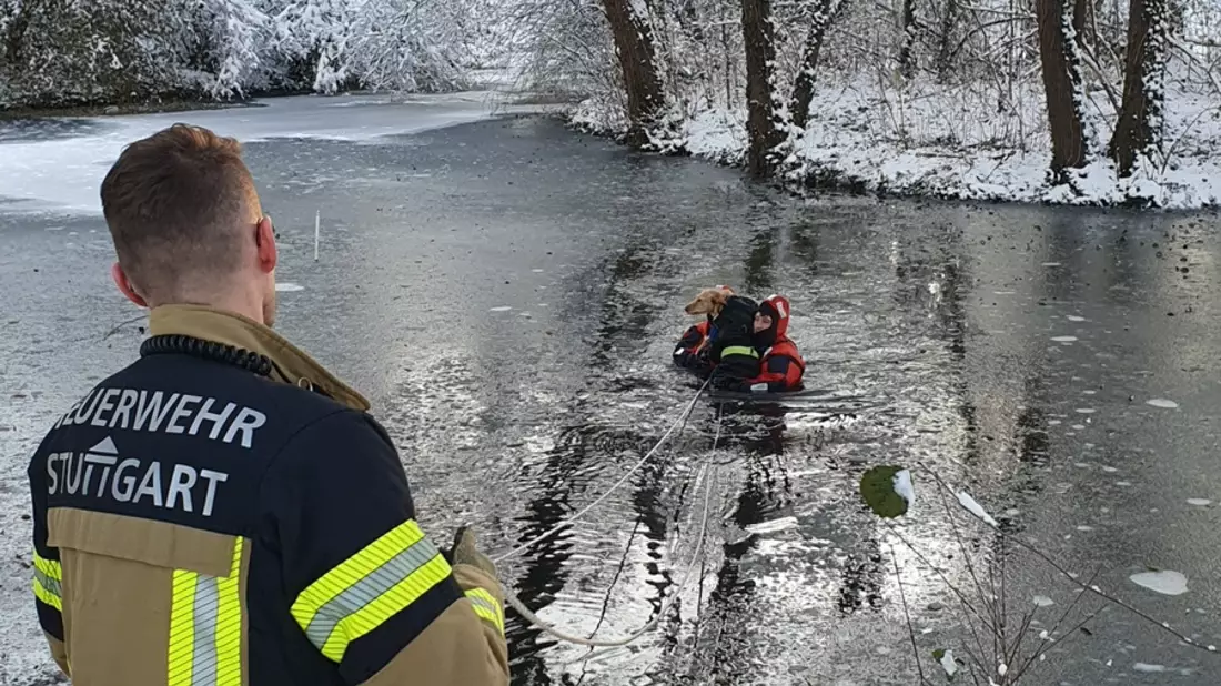 FW Stuttgart: Tierrettung Riedsee - Hund in Eisfläche eingebrochen - Bild: presseportal.de
