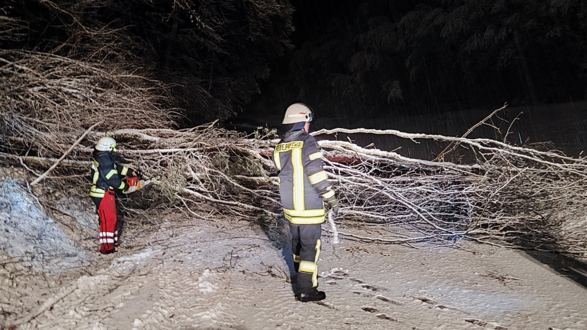 FW Eigeltingen: 20 Einsätze der Feuerwehrabteilungen Eigeltingen - Foto: presseportal.de