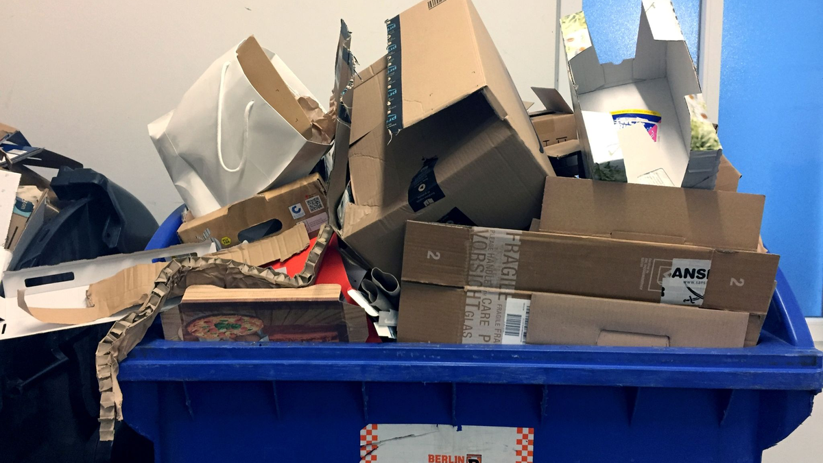 Millionen Tonnen Verpackungsmüll kommen jedes Jahr in deutschen Haushalten zusammen. Um die Feiertage herum ist es besonders viel. - Foto: Alexandra Schuler/dpa