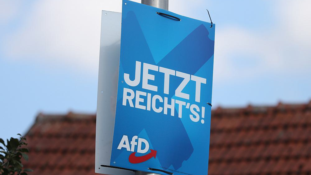 AfD-Wahlplakat (Archiv) - Foto: über dts Nachrichtenagentur
