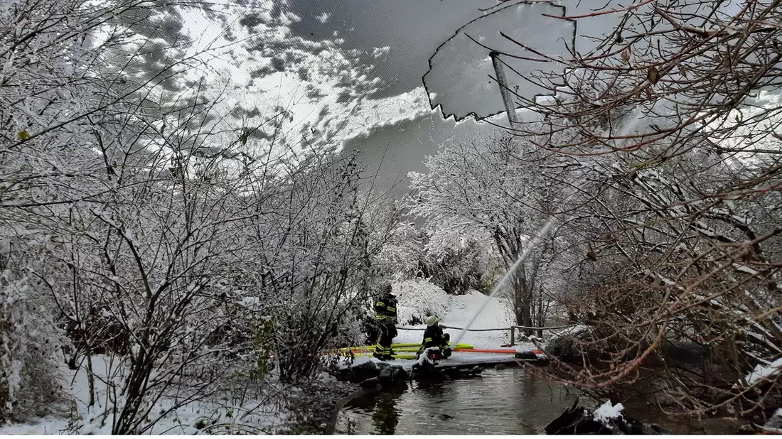 FW-M: Vogelvoliere von Schnee befreit (Harlaching) - Bild: presseportal.de