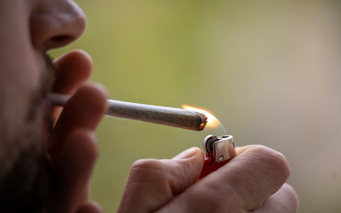 Cannabis soll im Betäubungsmittelgesetz von der Liste der verbotenen Substanzen gestrichen werden. - Foto: Hannes P. Albert/dpa