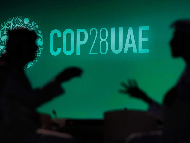 Mehr als 2450 Öl-, Gas- und Kohlelobbyisten nehmen laut einer Analyse an der UN-Klimakonferenz teil. - Foto: Rafiq Maqbool/AP