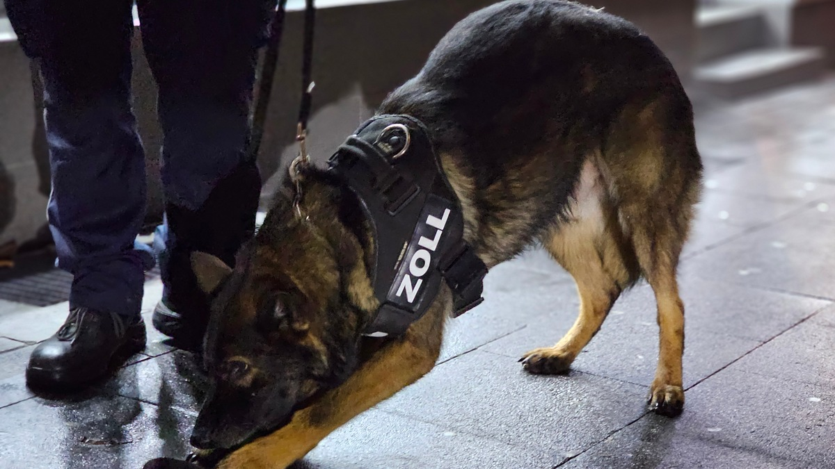 HZA-DU: Zoll stellt Drogen im Wert von fast einer Million Euro sicher - Kokain und Haschisch statt Diesel im Tank - Ecstasy statt Kaffeebohnen in Kartons - Foto: presseportal.de