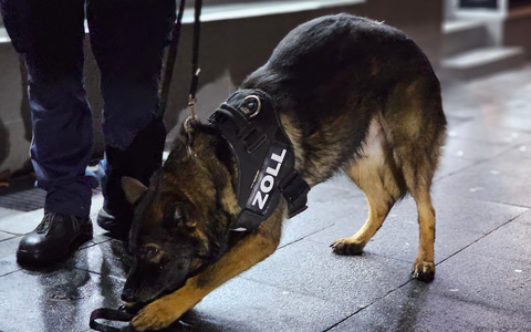 HZA-DU: Zoll stellt Drogen im Wert von fast einer Million Euro sicher - Kokain und Haschisch statt Diesel im Tank - Ecstasy statt Kaffeebohnen in Kartons - Foto: presseportal.de