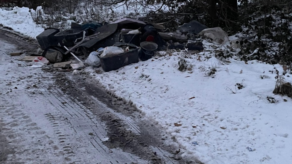 POL-SE: Bokel - illegale Müllablagerung - Polizei sucht Verantwortlichen und Zeugen - Foto: presseportal.de