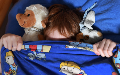 Manchmal fällt das Einschlafen schwer. Kinderärzte empfehlen Einschlafroutinen statt frei käuflicher Mittelchen. - Foto: Jens Kalaene/dpa-Zentralbild/dpa