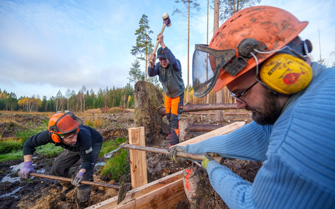 Wälder, Moore, Biotope: mit Freiwilligenarbeit aktiv für die Wiederherstellung der Ökosysteme / Bergwaldprojekt 2024 mit Rekordangebot an Mitmachmöglichkeiten - Foto: presseportal.de
