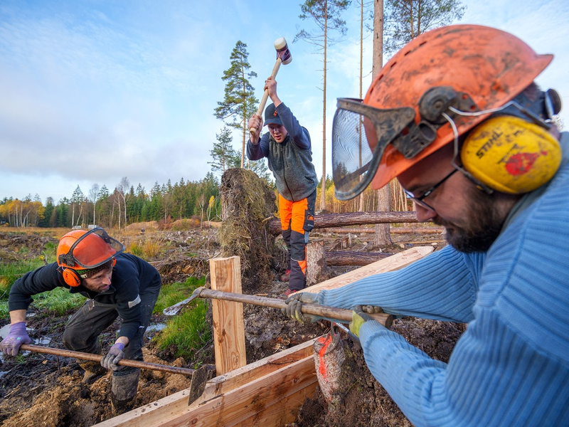Wälder, Moore, Biotope: mit Freiwilligenarbeit aktiv für die Wiederherstellung der Ökosysteme / Bergwaldprojekt 2024 mit Rekordangebot an Mitmachmöglichkeiten - Foto: presseportal.de