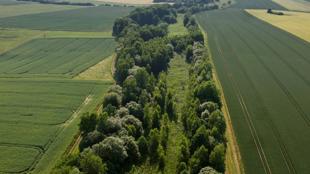 Großer Erfolg: Grünes Band wird von Deutschland als UNESCO-Welterbe vorgeschlagen / Vom BUND am 9. Dezember 1989 initiiert - Foto: presseportal.de