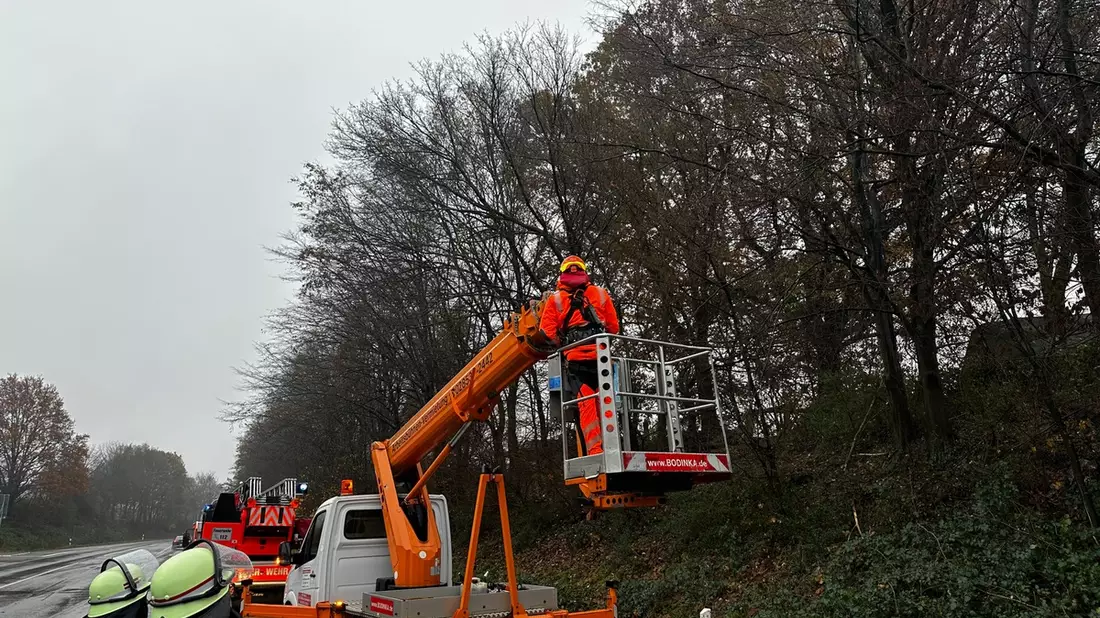 FW-Schermbeck: Baum droht auf Fahrbahn zu stürzen - Bild: presseportal.de