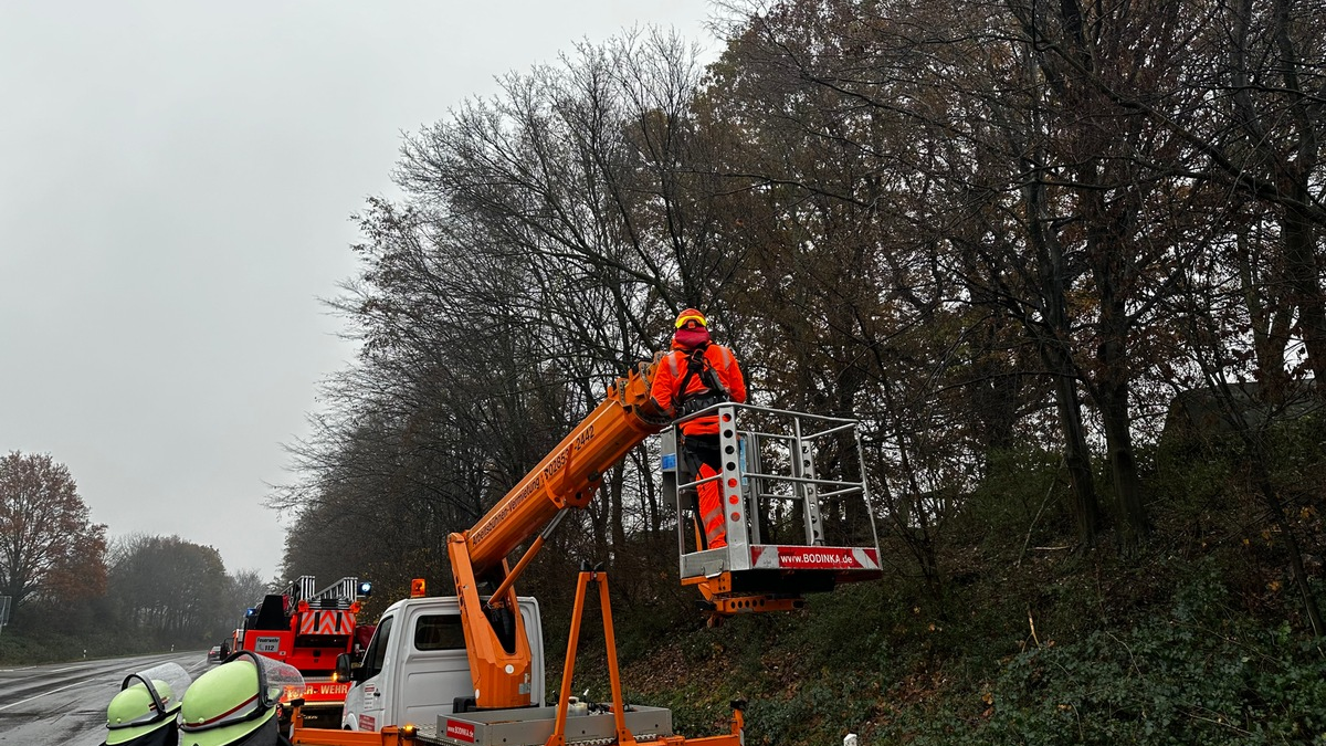 FW-Schermbeck: Baum droht auf Fahrbahn zu stürzen - Foto: presseportal.de
