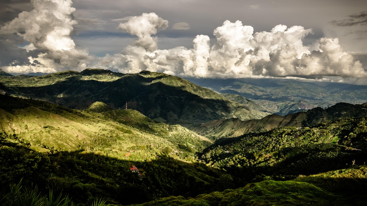 Nespresso präsentiert mit N°20 eine völlig neue Arabica-Varietät / 20 Jahre sorgfältig entwickelt für einen exquisiten Geschmack - Foto: presseportal.de
