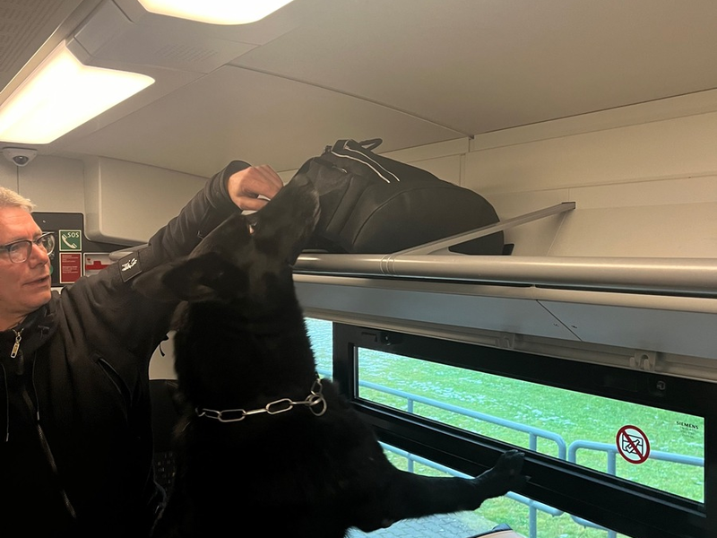 BPOLI MD: Herrenlose Gepäckstücke führen zu mehreren Polizeieinsätzen: Diensthund Yukon im verstärkten Einsatz - Foto: presseportal.de