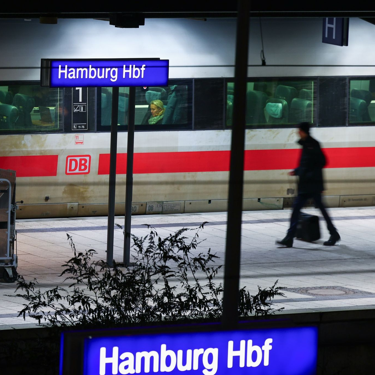ICE am Hamburger Hauptbahnhof. - Foto: Christian Charisius/dpa