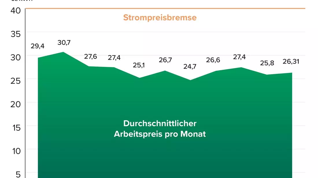 Tschüss Strompreisbremse, hallo Börsenstrom: Börsenstromanbieter behält Strompreisbremse bei und garantiert Strompreis unter 40 ct/kWh - Bild: presseportal.de
