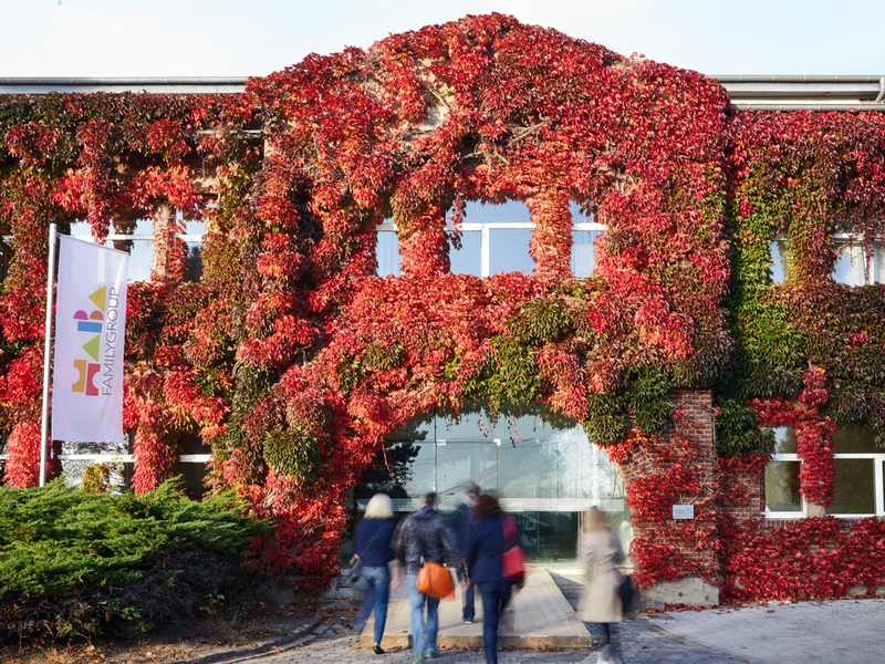 HABA FAMILYGROUP verkauft Produktionsstandort Lutherstadt Eisleben / Mitarbeiter werden übernommen - Foto: presseportal.de