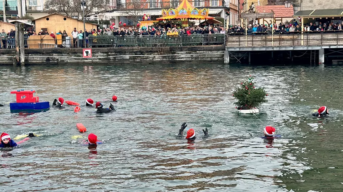 Nikolausschwimmen: Schaulustige schauen den Schwimmern in Lindau zu. - Bild: Davor Knappmeyer/-/dpa