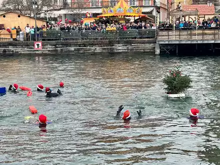 Nikolausschwimmen: Schaulustige schauen den Schwimmern in Lindau zu. - Foto: Davor Knappmeyer/-/dpa