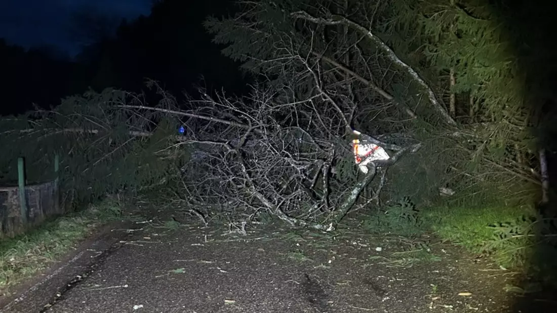 POL-PDLD: Windbruch legt Landstraße 490 lahm - Bild: presseportal.de