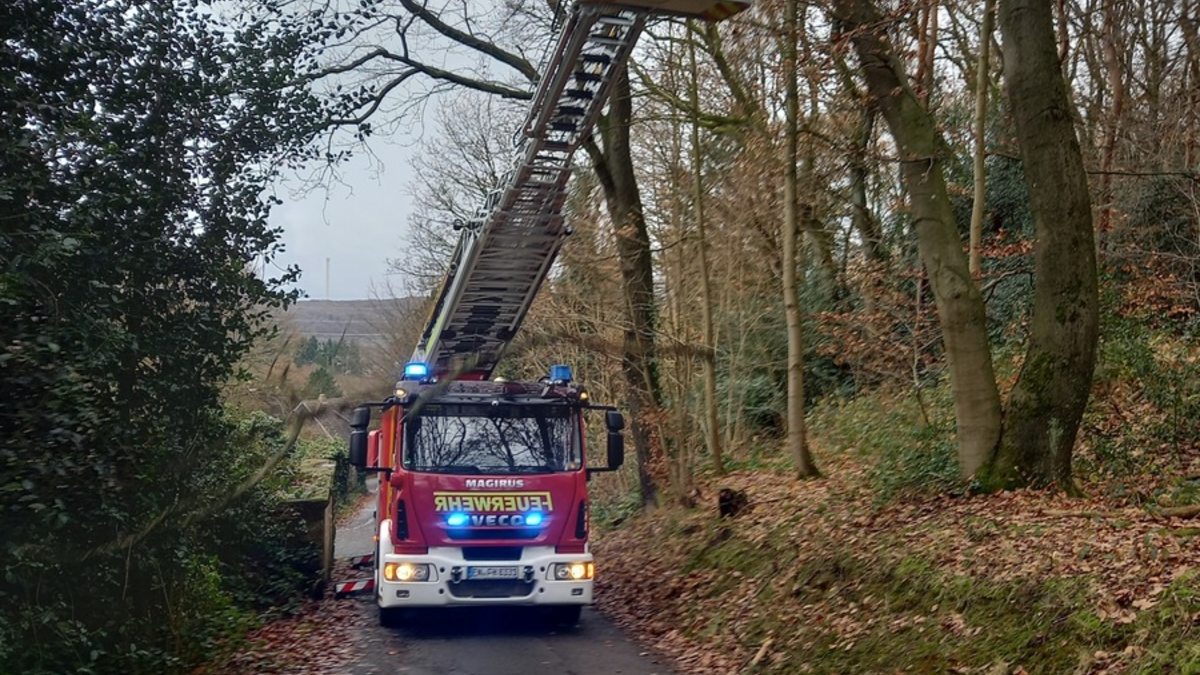 FW-EN: Äste drohen auf Straße zu stürzen und gemeldete Ölspur - Foto: presseportal.de
