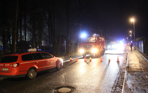 FW LK Leipzig: Dachstuhlbrand in Brandis Waldsteinberg - Foto: presseportal.de