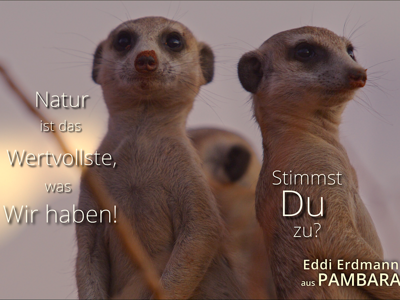  - Foto: Maleika Film GmbH über pressetext.de