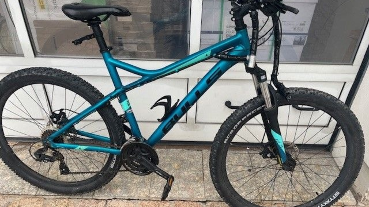 POL-PDLU: Speyer - Gestohlenes Fahrrad wieder ausgehändigt, Fahrradeigentümer gesucht - Foto: presseportal.de